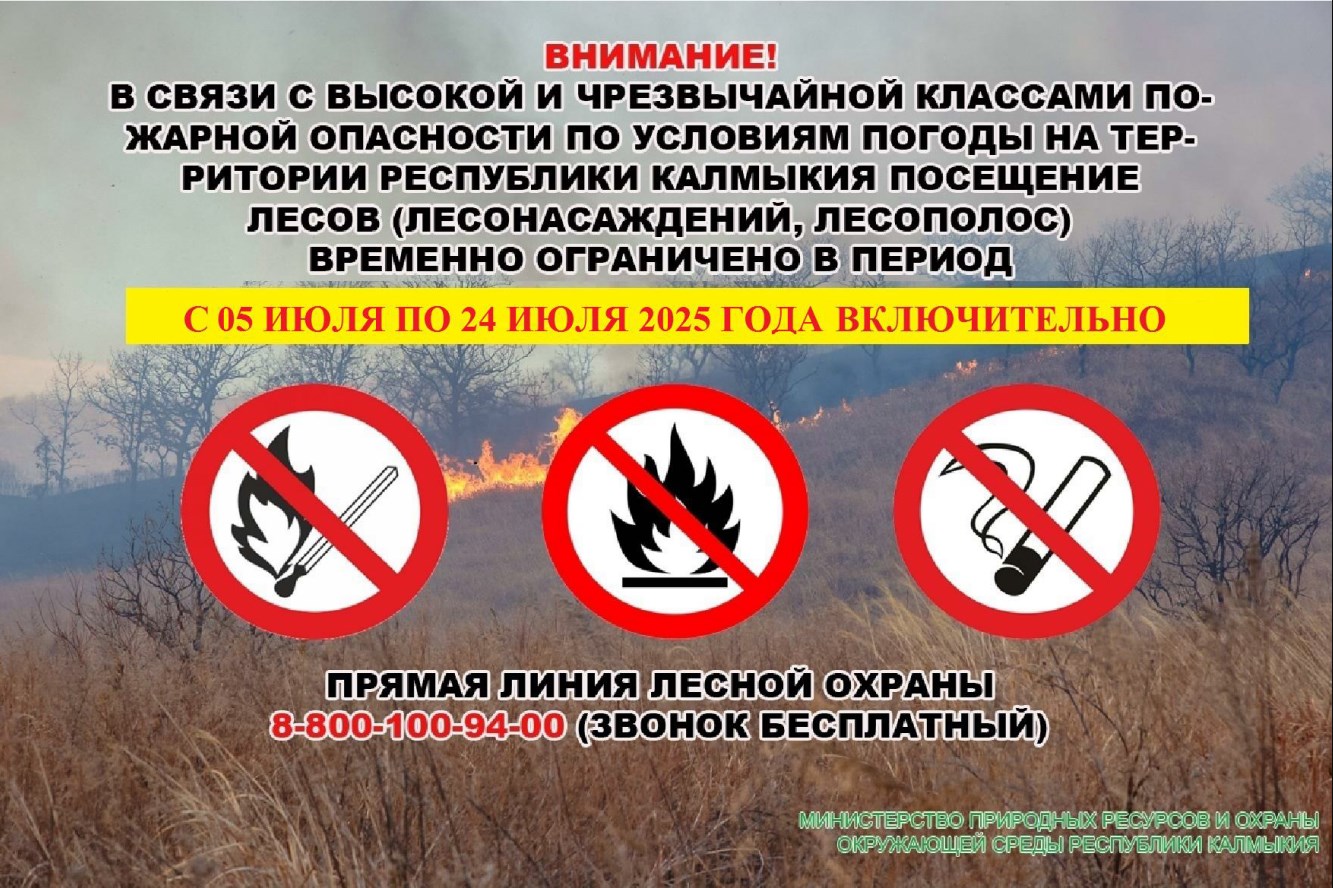 Министерство природных ресурсов и охраны окружающей среды Республики Калмыкия информирует о том, что в период с 05 по 24 июля 2025 года включительно введено ограничение пребывания граждан в лесах.