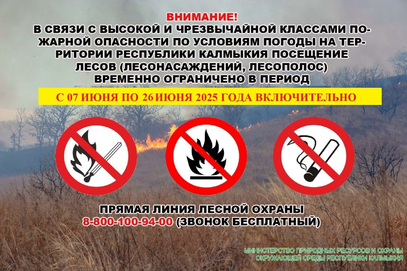 Министерство природных ресурсов и охраны окружающей среды Республики Калмыкия информирует о том, что в период с 07 по 26 июня 2025 года включительно введено ограничение пребывания граждан в лесах.