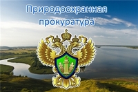 В Калмыкии суд поддержал требования природоохранного прокурора и обязал предприятие оформить экологическую документацию для забора воды.